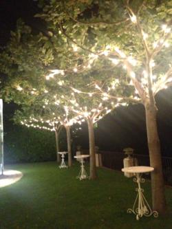 Uploaded by Chloe on 29/06/2015 22:05:50 - Category: Disco