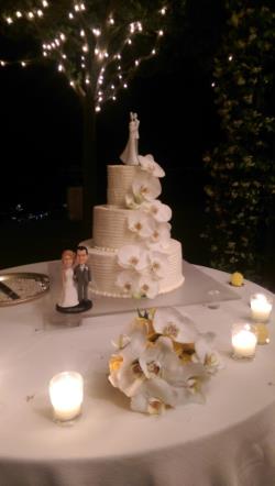 Uploaded by Lauren on 30/06/2015 22:35:08 - Category: Cutting the Cake