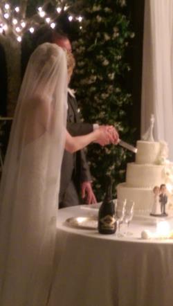 Uploaded by Lauren on 30/06/2015 22:35:11 - Category: Cutting the Cake