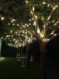 Uploaded by Helena on 02/07/2015 20:52:28 - Category: Villa Eva